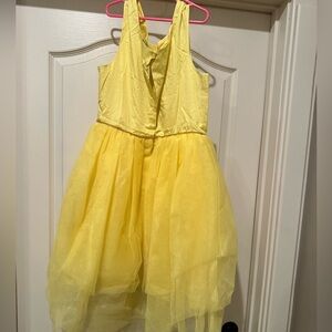 Disney Princess Dress.